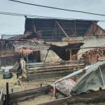 Puluhan Rumah Warga Halmahera Selatan Rusak Diterjang Angin Puting Beliung