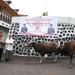 Jelang Hari Raya Idul Adha 1443 Hijriya, Kapolda Malut Serahkan Hewan Qurban Untuk Masyarakat