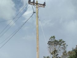 Proyek PJL di 12 Kecamatan Halmahera Selatan Mangkrak