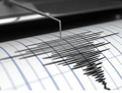 Gempa Bumi Magnitudo 3,8 Guncang Labuha