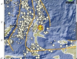 Gempa bumi M 5,0 Guncang Halmahera Timur Dirasakan di Morotai dan Halmahera Utara
