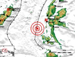 Tidore Maluku Utara Diguncang Gempa Bumi M 4,0, Cek Lokasinya