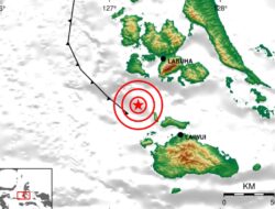Gempa Bumi M 3,9 Guncang Labuha Maluku Utara Siang Tadi