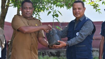 Pemkot Tidore Dapat Bantuan 1.032 Bibit Cabai dari Bank Indonesia