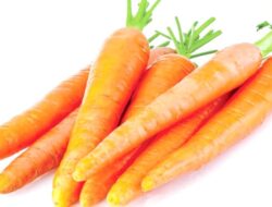 Sayur Wortel Kaya Akan Nutrisi dan Manfaat Bagi Kesehatan