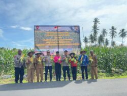 Brimob Polda Maluku Utara Panen 1,4 Ton Jagung