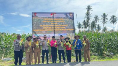 Brimob Polda Maluku Utara Panen 1,4 Ton Jagung