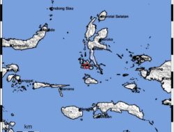 Gempa Bumi Magnitudo 3,9 Guncang Labuha Halmahera Selatan
