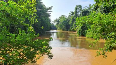 Sungai Jira dan Sagea Berlokasi di Kawasan Industri PT.IWIP Tercemar Logam Berat