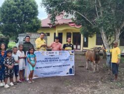 Idul Adha 1447 H, NHM Salurkan 66 Hewan Kurban di Wilayah Lingkar Tambang