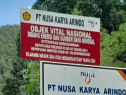 PT NKA dan PT SDA Diduga Serobot Hutan Lindung di Haltim, PB FORMMALUT Desak Satgas PKH Ambil Tindakan Hukum